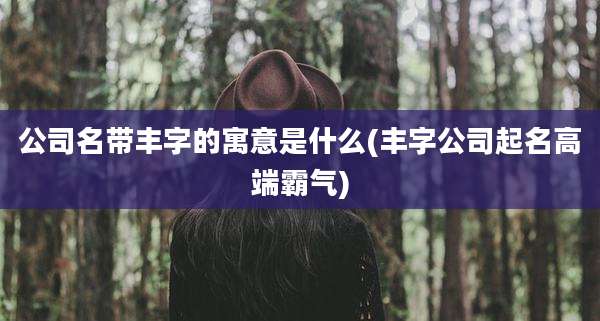 公司名带丰字的寓意是什么(丰字公司起名高端霸气)