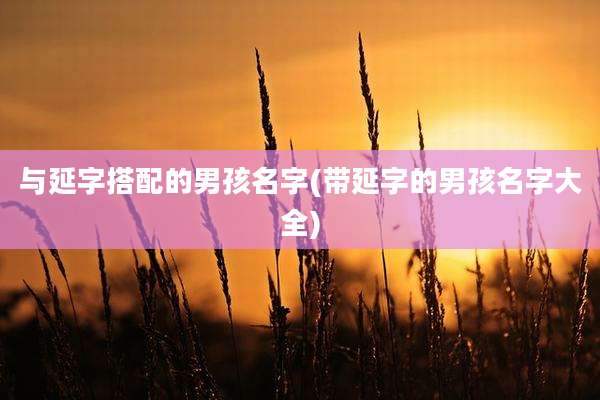 与延字搭配的男孩名字(带延字的男孩名字大全)
