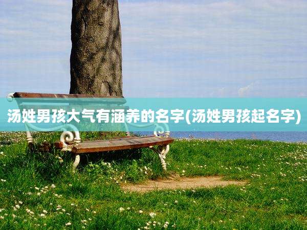 汤姓男孩大气有涵养的名字(汤姓男孩起名字)