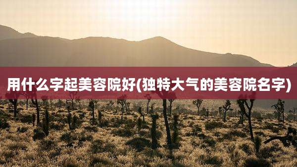用什么字起美容院好(独特大气的美容院名字)