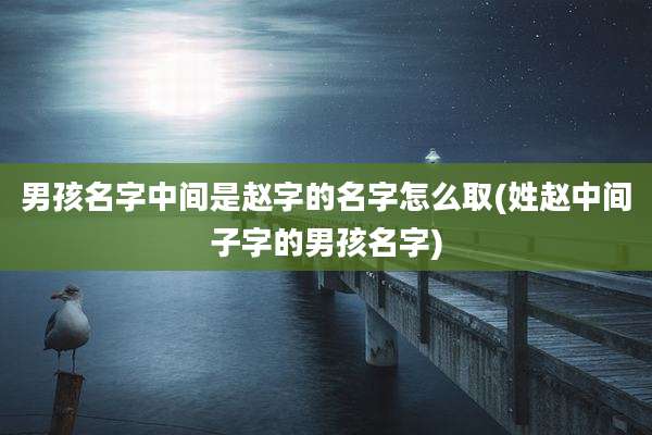 男孩名字中间是赵字的名字怎么取(姓赵中间子字的男孩名字)