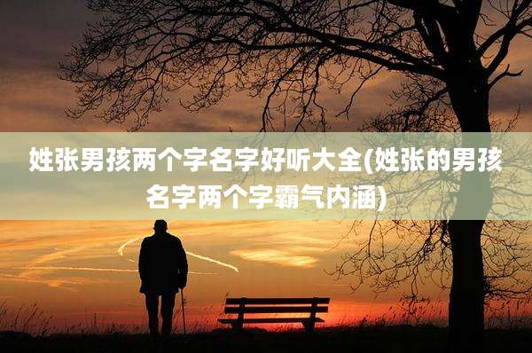姓张男孩两个字名字好听大全(姓张的男孩名字两个字霸气内涵)