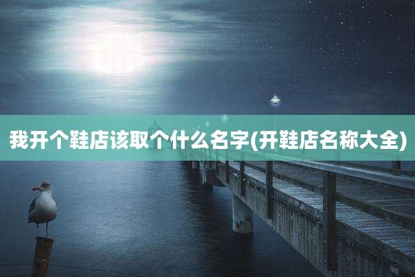 我开个鞋店该取个什么名字(开鞋店名称大全)