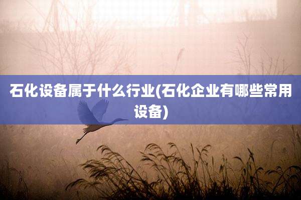 石化设备属于什么行业(石化企业有哪些常用设备)