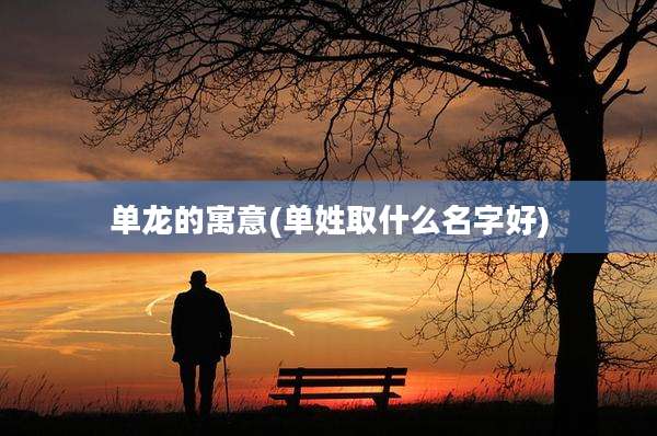 单龙的寓意(单姓取什么名字好)