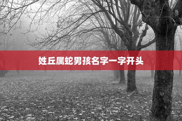 姓丘属蛇男孩名字一字开头