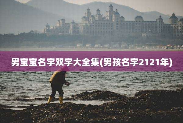 男宝宝名字双字大全集(男孩名字2121年)