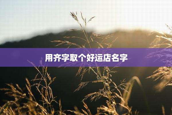 用齐字取个好运店名字