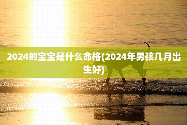 2024的宝宝是什么命格(2024年男孩几月出生好)