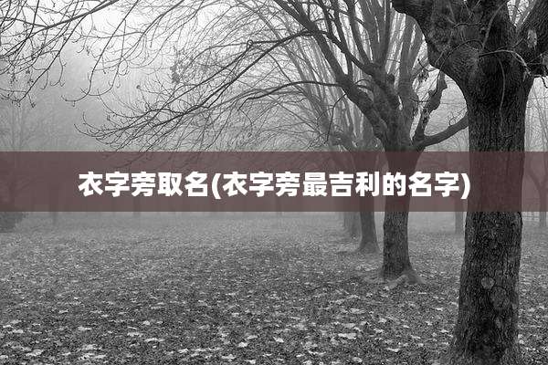 衣字旁取名(衣字旁最吉利的名字)