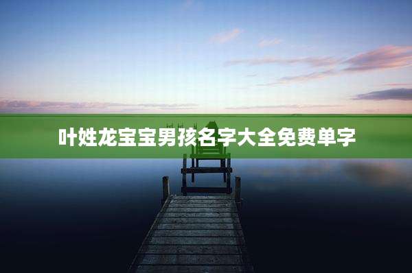 叶姓龙宝宝男孩名字大全免费单字