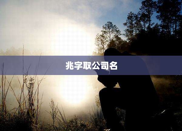 兆字取公司名