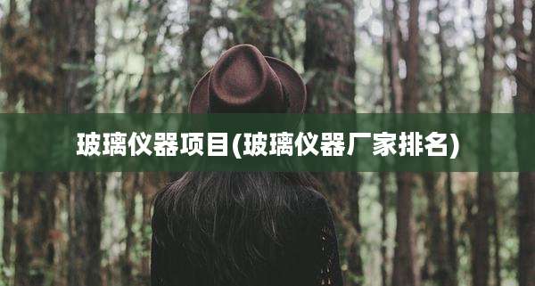 玻璃仪器项目(玻璃仪器厂家排名)