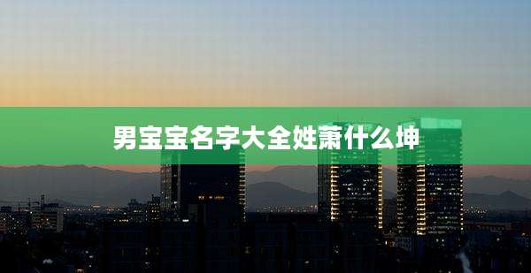 男宝宝名字大全姓萧什么坤