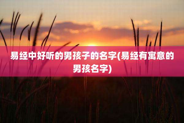 易经中好听的男孩子的名字(易经有寓意的男孩名字)