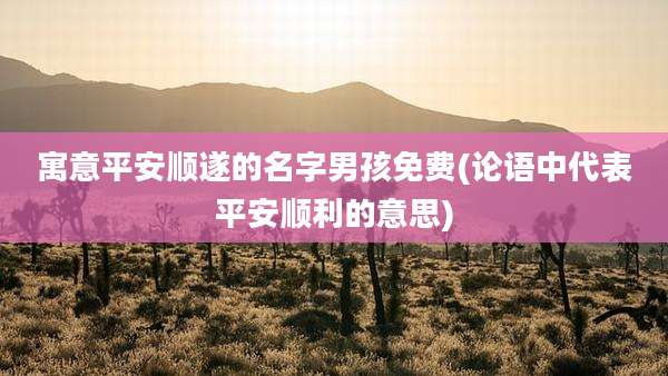 寓意平安顺遂的名字男孩免费(论语中代表平安顺利的意思)
