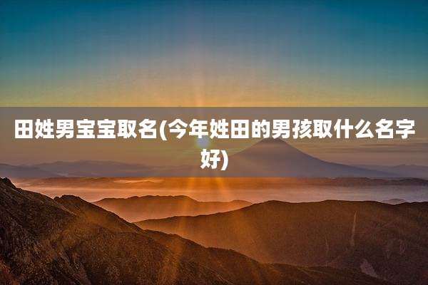 田姓男宝宝取名(今年姓田的男孩取什么名字好)