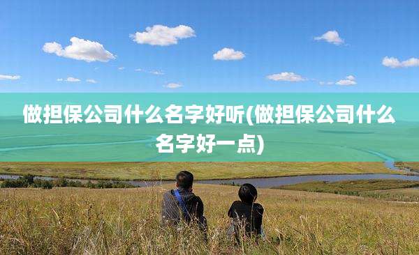 做担保公司什么名字好听(做担保公司什么名字好一点)