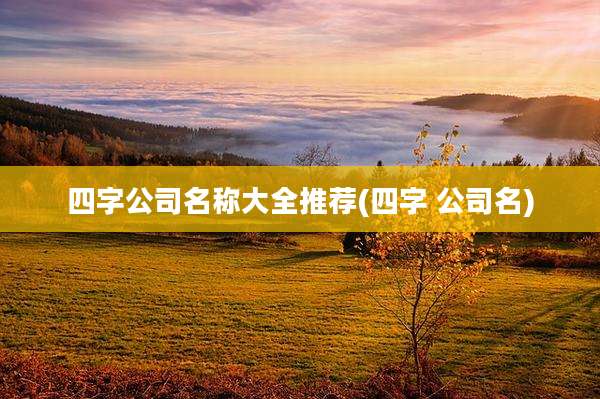 四字公司名称大全推荐(四字 公司名)
