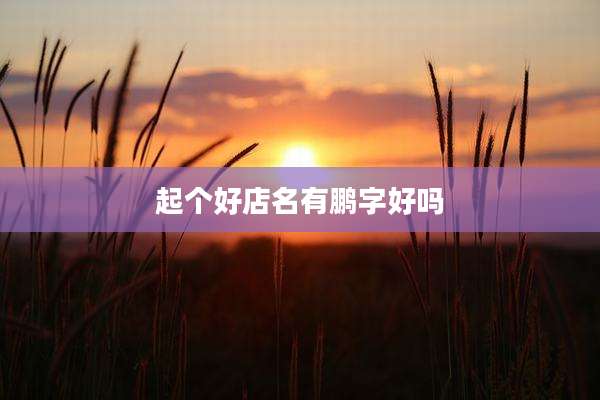 起个好店名有鹏字好吗