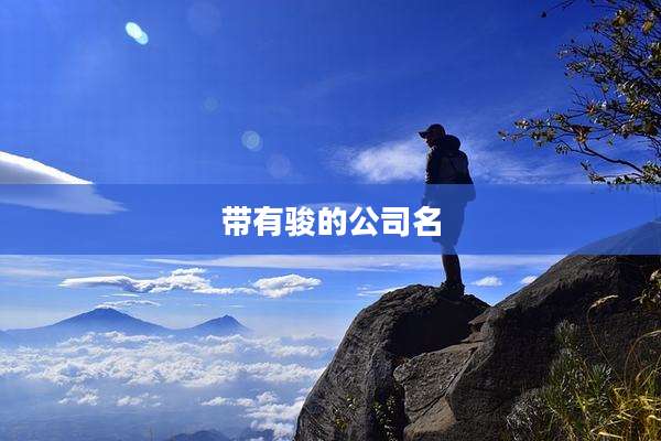 带有骏的公司名