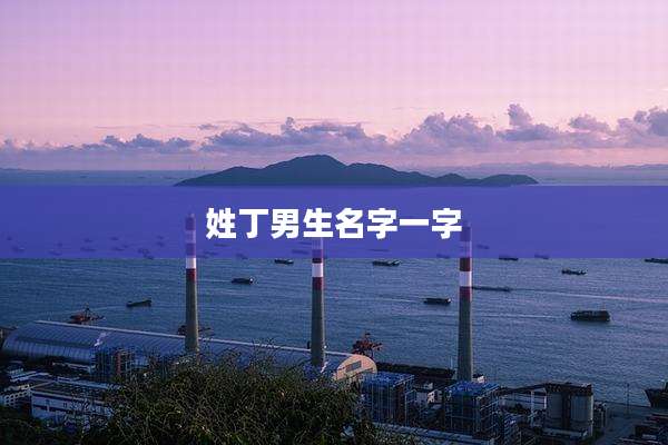 姓丁男生名字一字