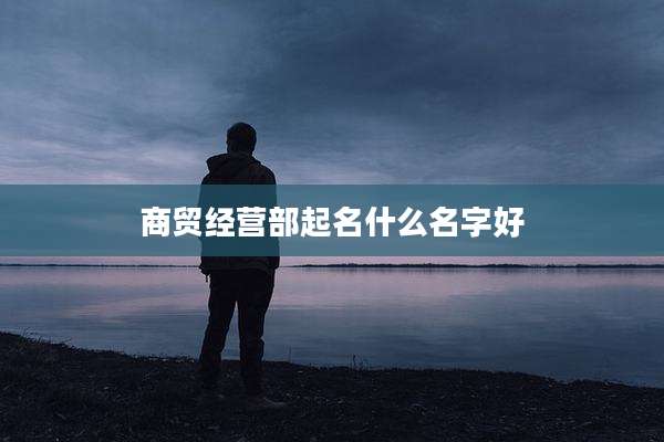 商贸经营部起名什么名字好