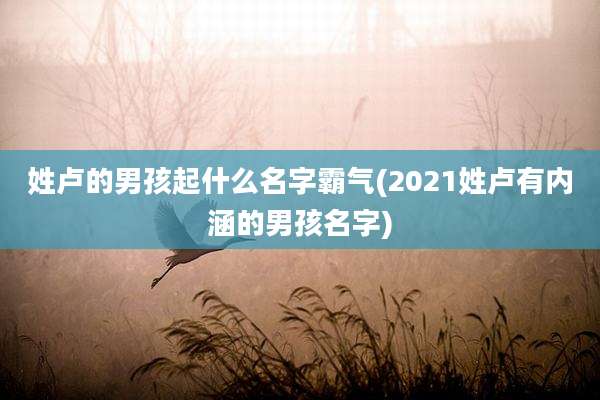 姓卢的男孩起什么名字霸气(2021姓卢有内涵的男孩名字)