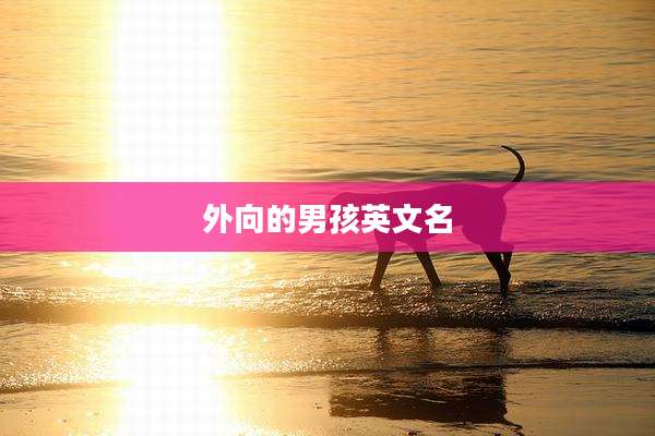 外向的男孩英文名