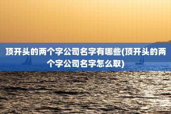 顶开头的两个字公司名字有哪些(顶开头的两个字公司名字怎么取)