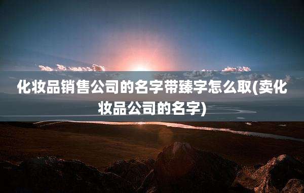 化妆品销售公司的名字带臻字怎么取(卖化妆品公司的名字)