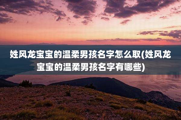 姓风龙宝宝的温柔男孩名字怎么取(姓风龙宝宝的温柔男孩名字有哪些)