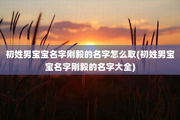 初姓男宝宝名字刚毅的名字怎么取(初姓男宝宝名字刚毅的名字大全)