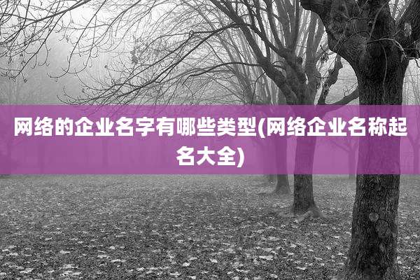 网络的企业名字有哪些类型(网络企业名称起名大全)
