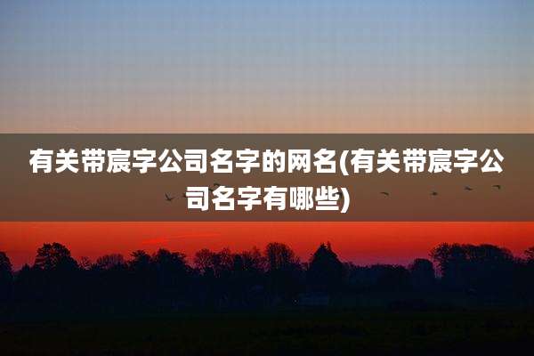 有关带宸字公司名字的网名(有关带宸字公司名字有哪些)