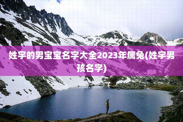 姓宇的男宝宝名字大全2023年属兔(姓宇男孩名字)