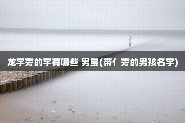 龙字旁的字有哪些 男宝(带亻旁的男孩名字)