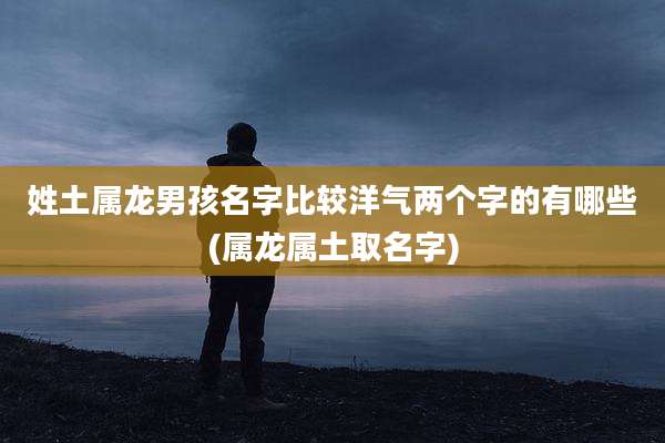 姓土属龙男孩名字比较洋气两个字的有哪些(属龙属土取名字)