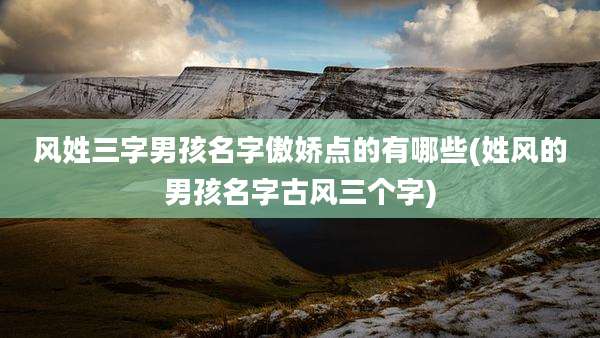 风姓三字男孩名字傲娇点的有哪些(姓风的男孩名字古风三个字)