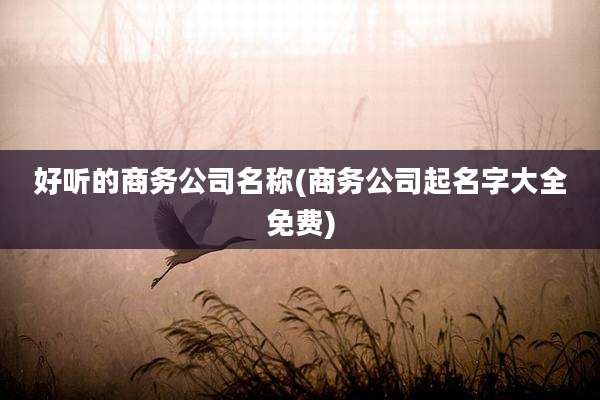 好听的商务公司名称(商务公司起名字大全免费)