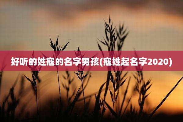 好听的姓寇的名字男孩(寇姓起名字2020)