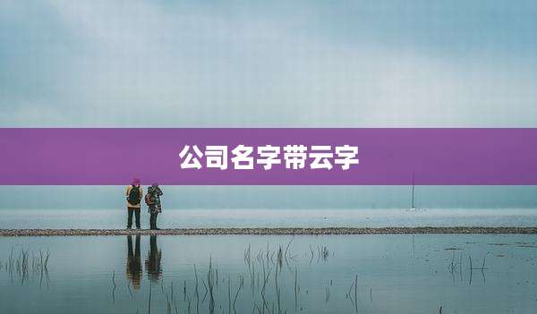 公司名字带云字