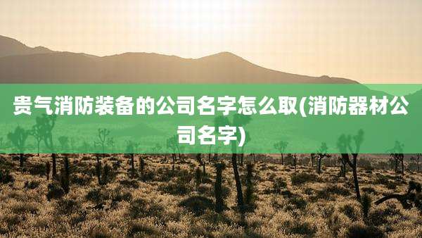 贵气消防装备的公司名字怎么取(消防器材公司名字)