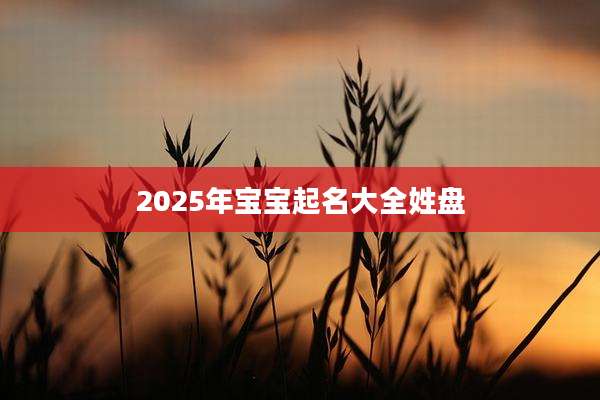 2025年宝宝起名大全姓盘