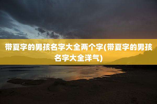 带夏字的男孩名字大全两个字(带夏字的男孩名字大全洋气)