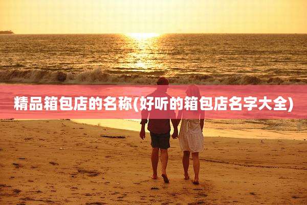 精品箱包店的名称(好听的箱包店名字大全)