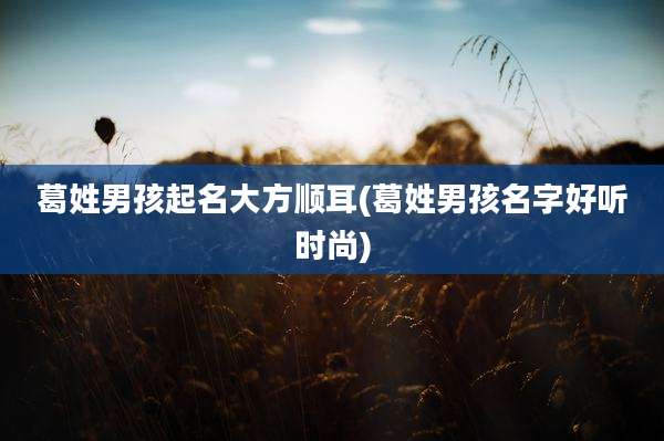 葛姓男孩起名大方顺耳(葛姓男孩名字好听时尚)