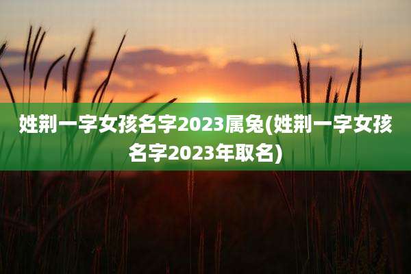 姓荆一字女孩名字2023属兔(姓荆一字女孩名字2023年取名)