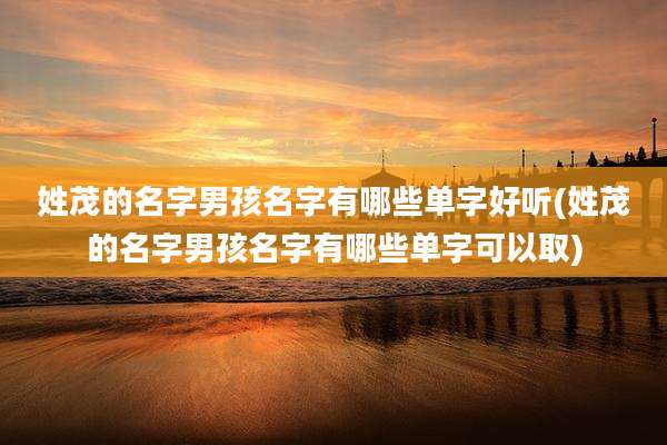 姓茂的名字男孩名字有哪些单字好听(姓茂的名字男孩名字有哪些单字可以取)