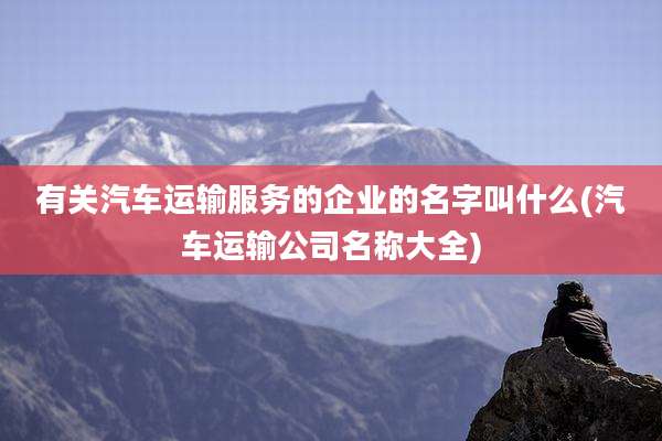 有关汽车运输服务的企业的名字叫什么(汽车运输公司名称大全)